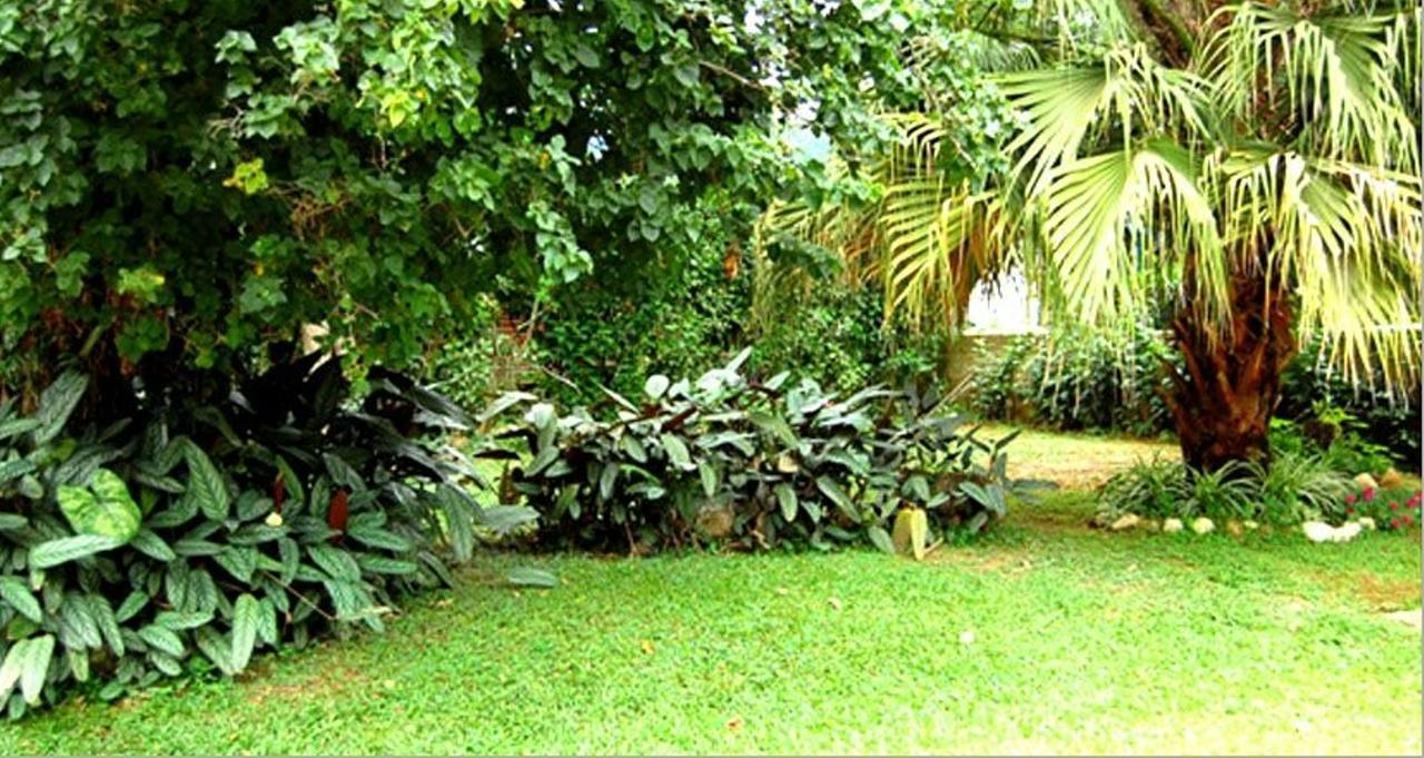 Hotel Primavera Penedo (Rio de Janeiro) Exterior photo